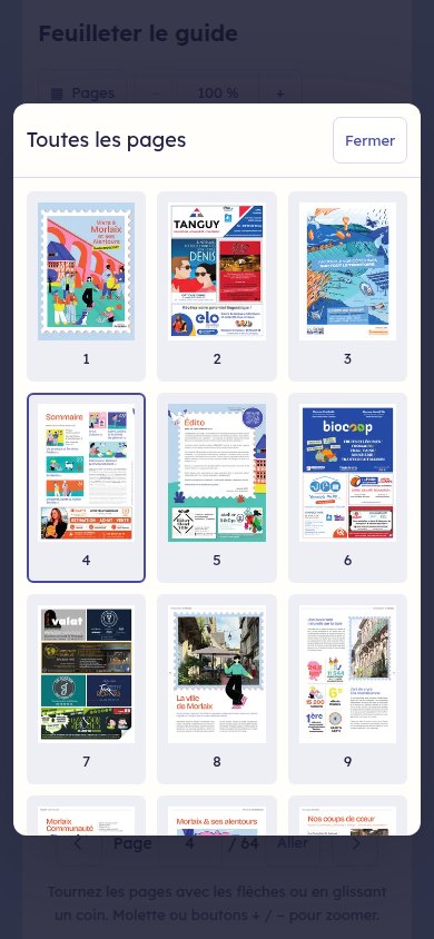 Le navigateur de pages sur téléphone