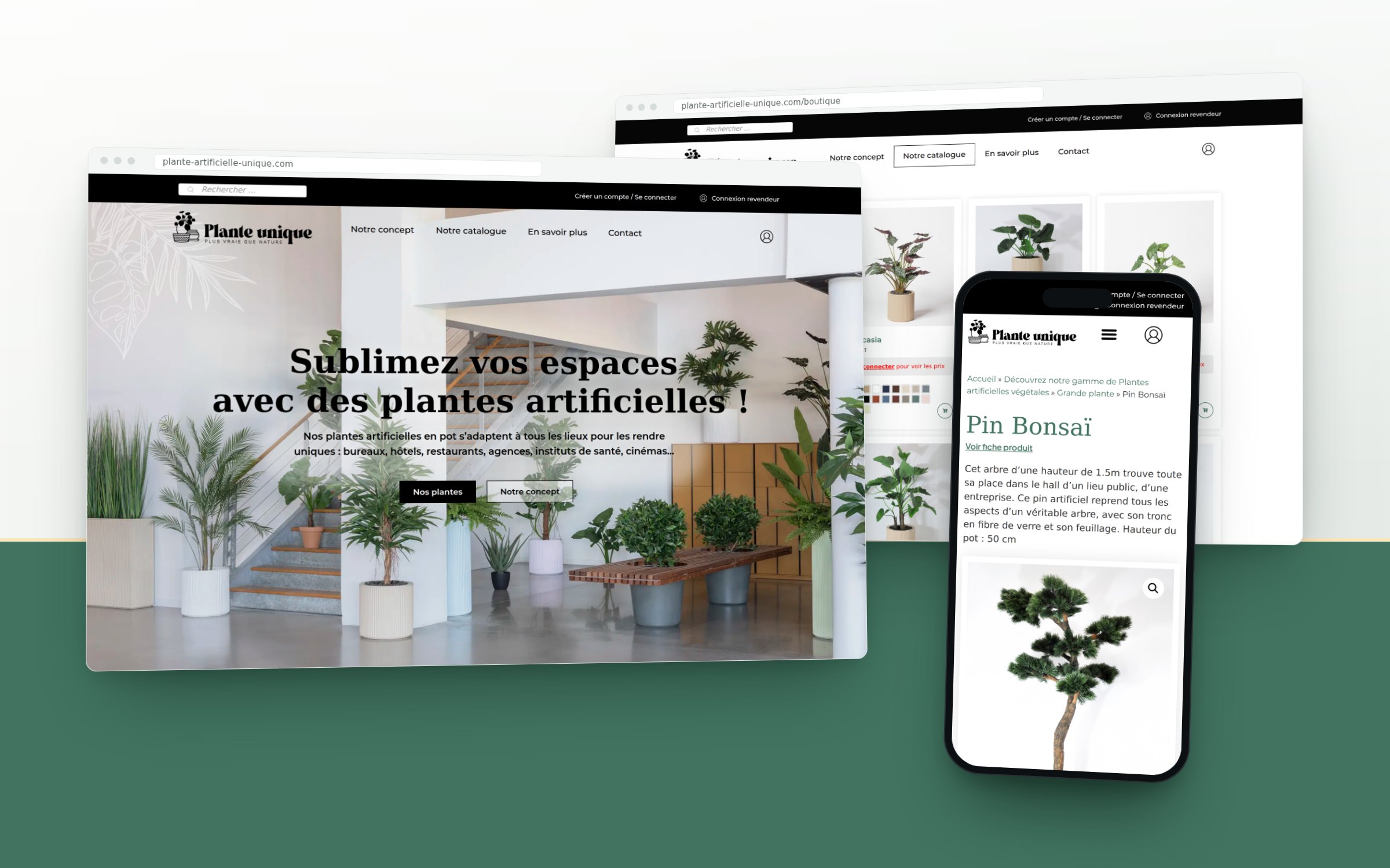 Plante Unique