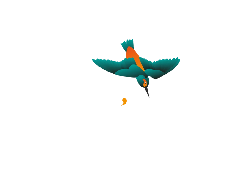Logo du client Ouest Pro